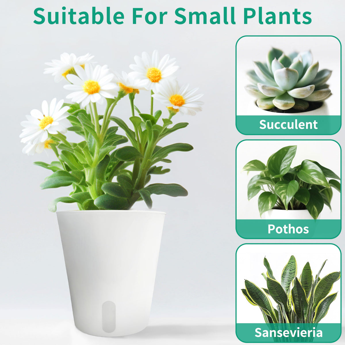 TCBWFY 4 Inch Self Watering Pots for Indoor Plants,8 Sets Self Watering Planter Pots with Visual Water Level Window and Multiple Vents,Self Watering Plant Pot for All House Plants,Flowers,Herbs