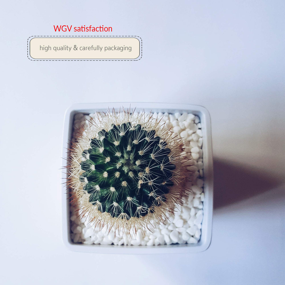 WGVI WGV Ceramic Cube Vase Width 4" Height 4" (Fits 3" Pot) Elegant Modern Block Square Floral Planter Terrarium Container Table Dresser for Event Accent Home Office Decor White 1 Piece (Pack of 4)