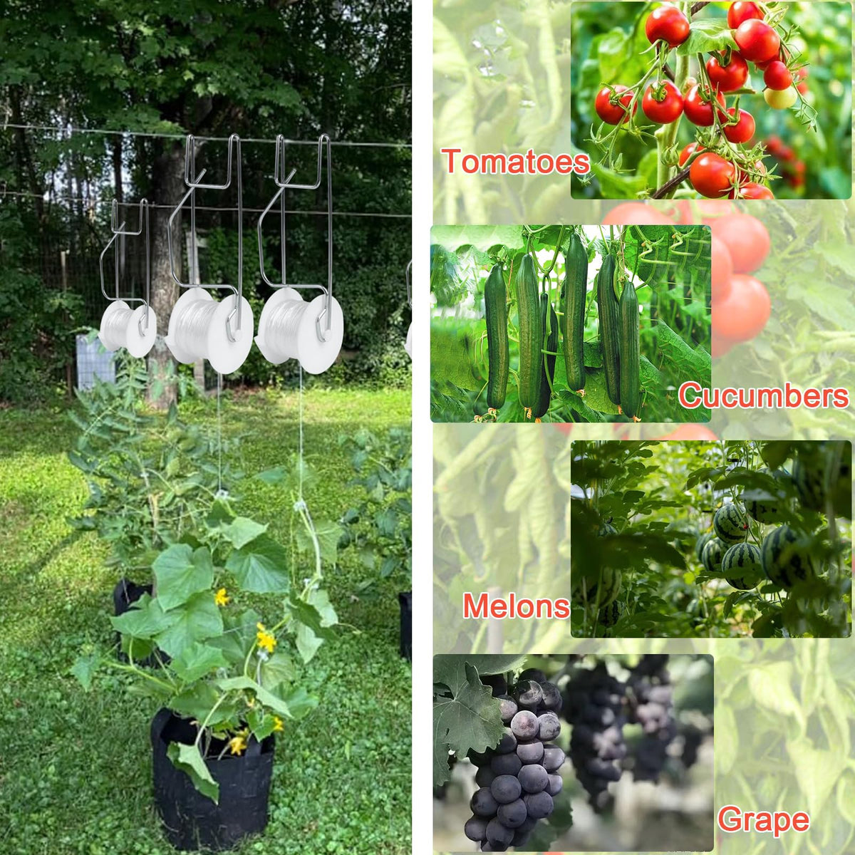 Hidbot Tomato Support Hooks with String,20 Pack Tomato Trellis Roller Hooks with 49.2FT String for Plant,Greenhouse Tomato Flower Vine Twine Crop Trellis Kit Plant Roller Hook