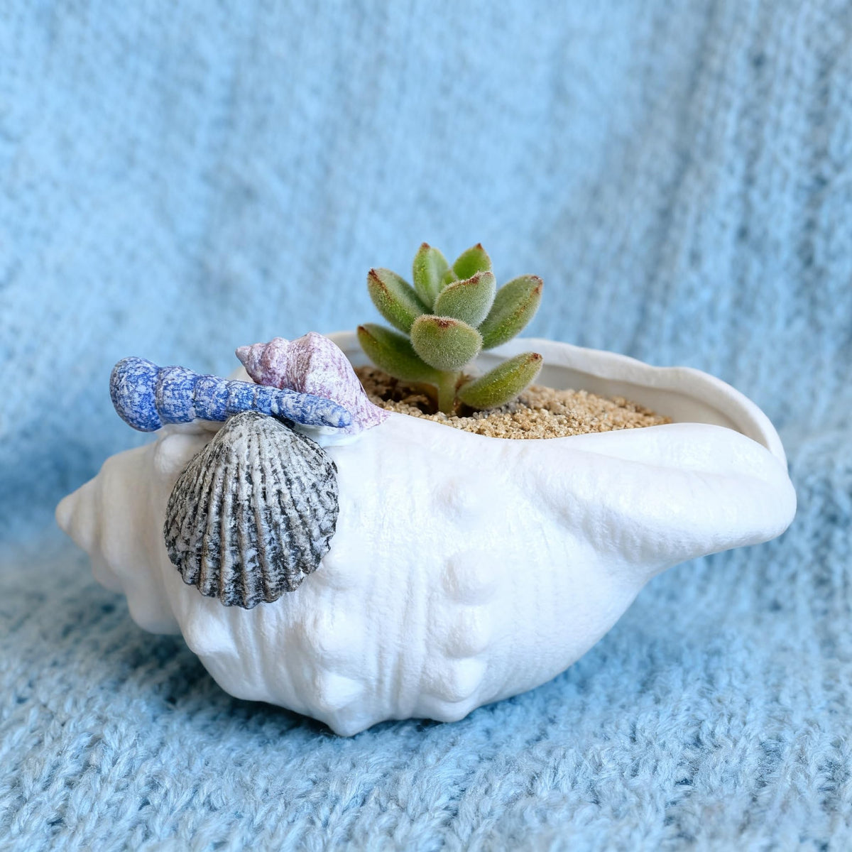 FMTITF Ceramic Seashell Planter with Drainage Hole, Succulent & Herb Pot for Indoor/Outdoor Plants, Hand-Painted Ocean Décor for Home, Office, or Garden (Blue/Lavender/Gray Shell Accents)