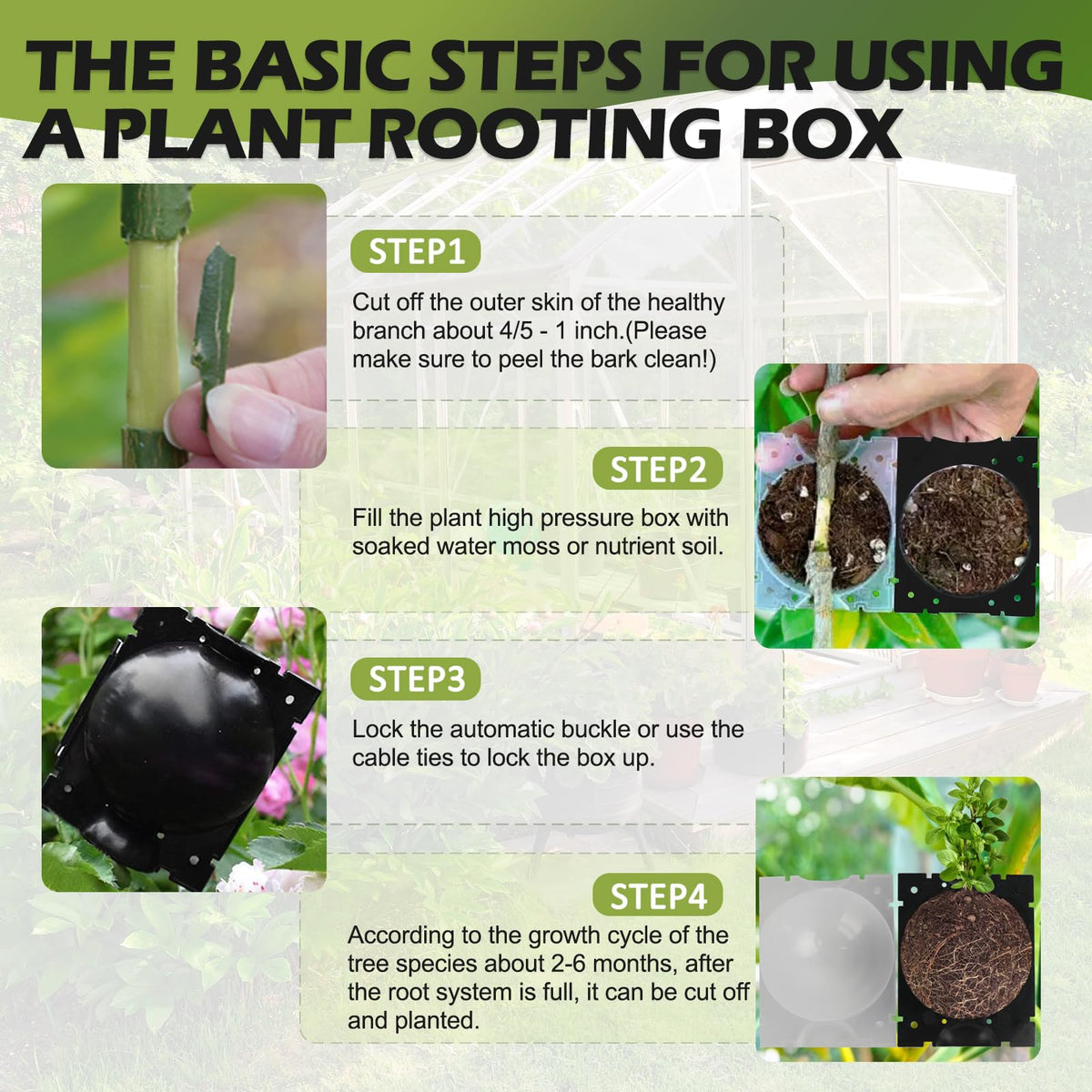 NVAAV Tree Root Growing Box, Air Layering Pods Propagation Kit, Reusable Half Transparent Plants Asexual Reproduction Grafting Ball for Fast Propagation Plants (12pcs Meidum)