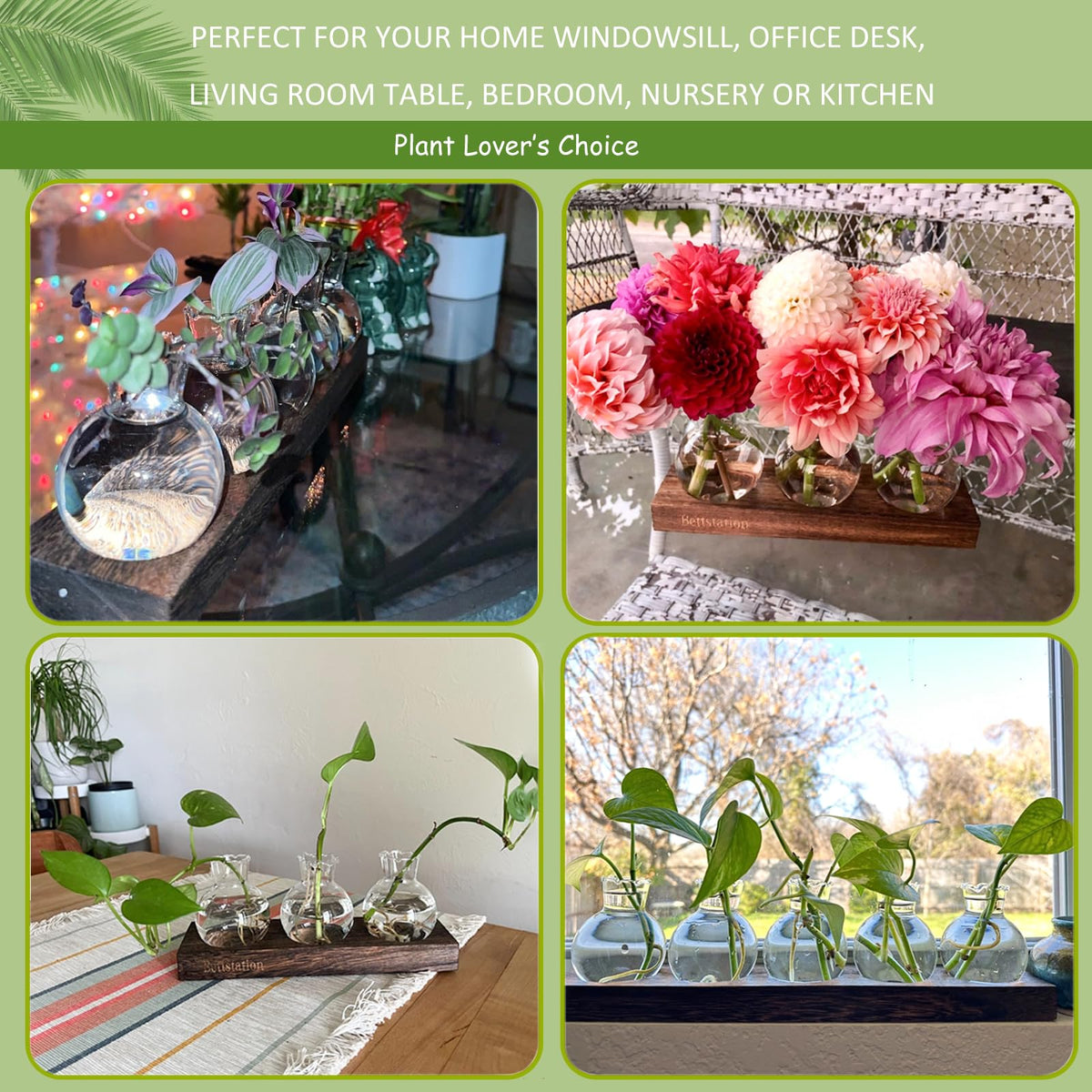 Bettstation Plant Propagation Station, Plants Terrarium with Wooden Stand Bulb Glass Vase Planter Gift for Plant Lovers Home Office Decor