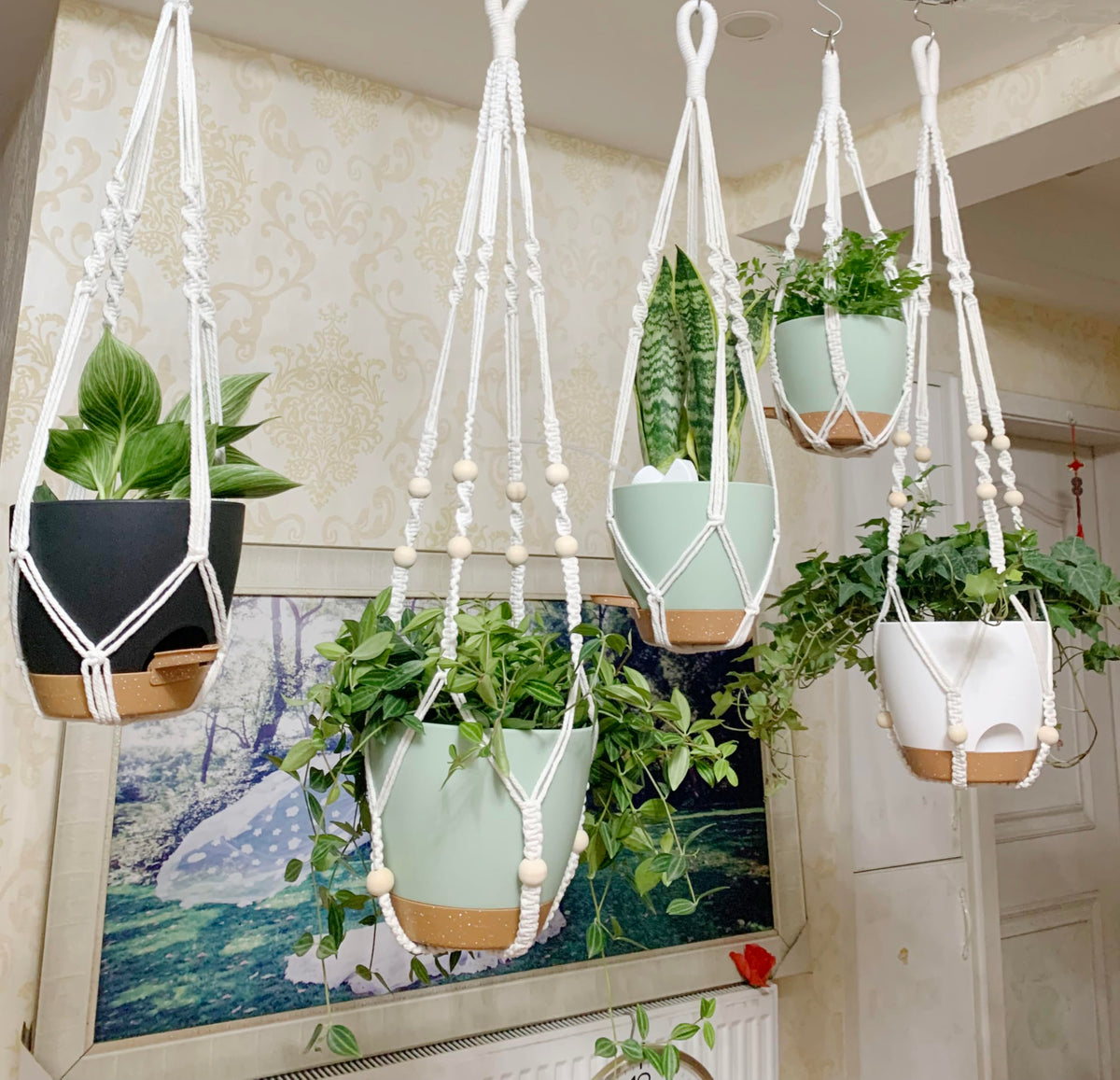 BLEAFLUV Hanging Planters with Macrame Plant Hangers for Indoor Outdoor Plants, 3 Set Hanging Baskets Flower Pots Holders 35''/27''/21'', Self-Watering Pots 7''/6''/5.5'', Boho Home Decor, Green