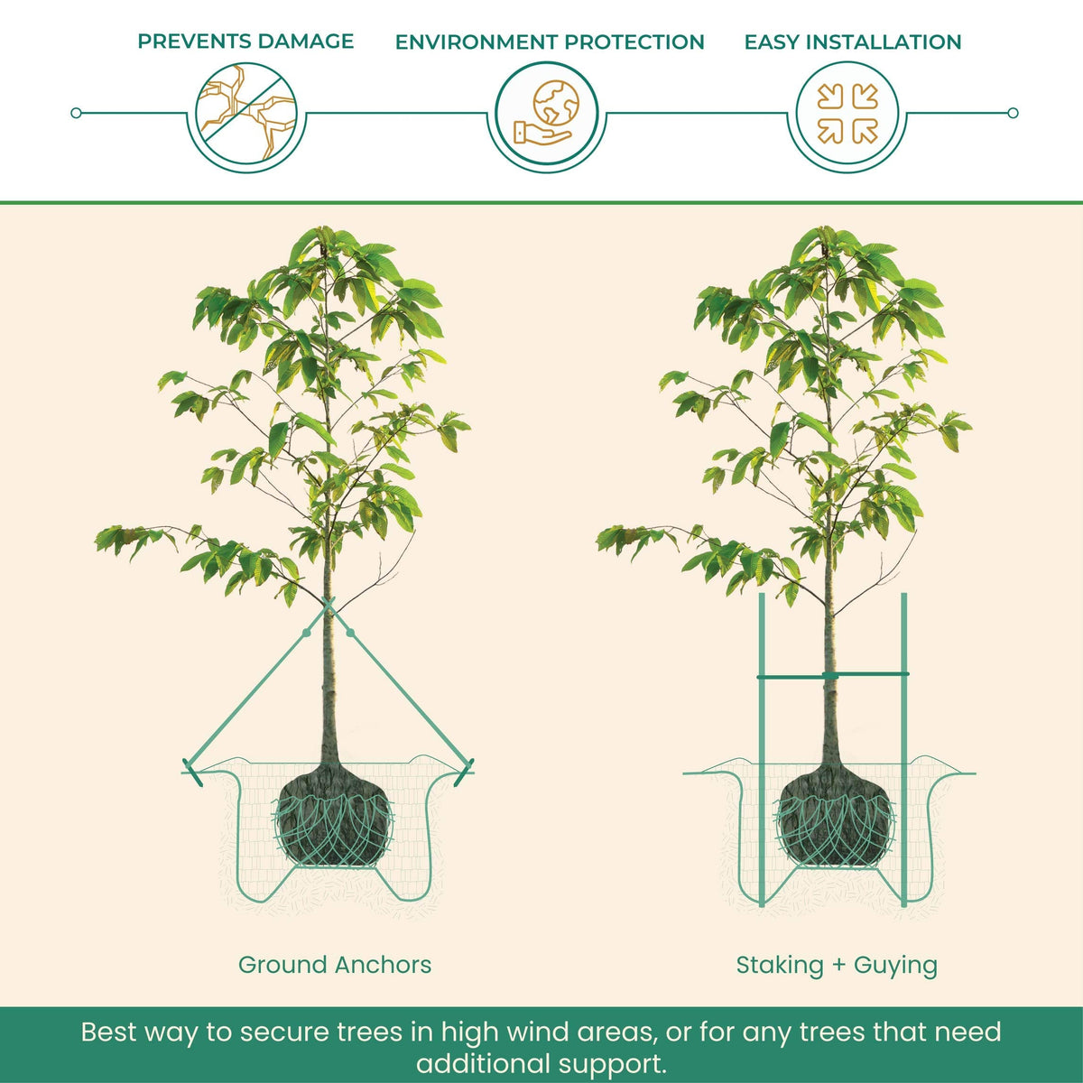 DeepRoot ArborTie Tree Straps for Staking and Guying, Flexible Tree Support Straps, Versatile Tree Rope, Tree Ties For Street Trees, Orchards, and Landscape Trees, 250’ Roll, Olive (AT 2G)