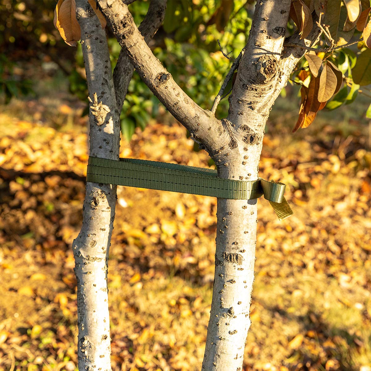 2,425 Lbs Strength Tree Straps - 216FT Tree Tie Support Straps for Staking, Green Blend in with Landscaping for Guying Young Trees Straight and Storm Protection, for Outdoor Plants, 1" Wide
