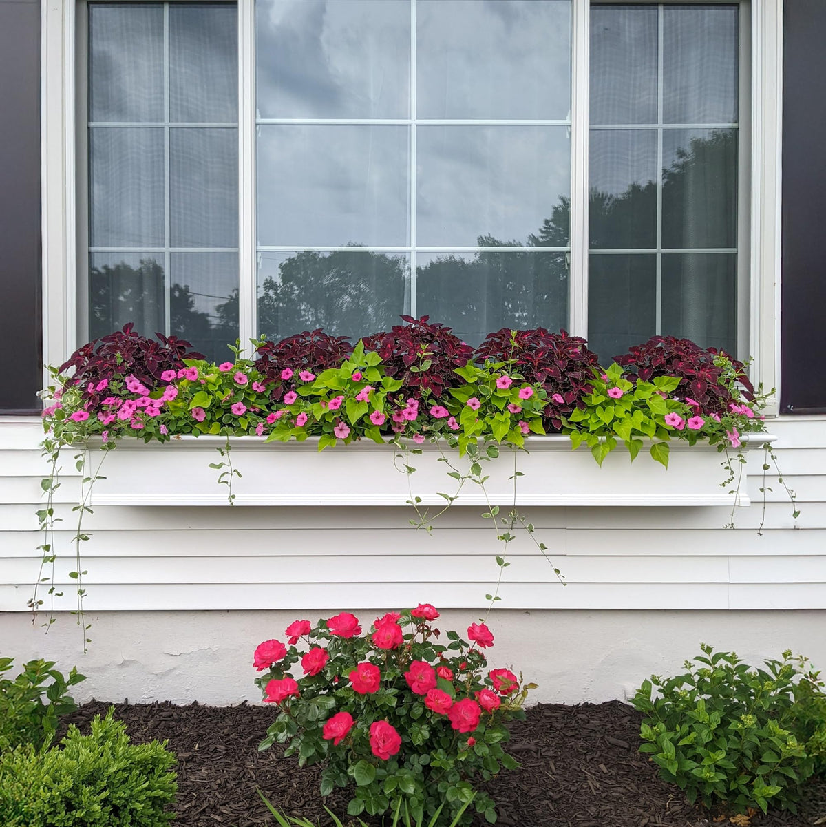 Mayne Yorkshire 7ft Window Box - White - 84in L x 12in W x 10in H - with 1.6 Gallon Built-in Water Reservoir (8827-W)