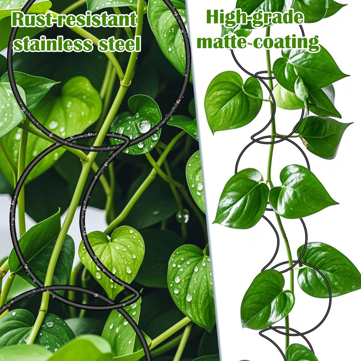 Vodolo 18 Pcs Chain Trellis for Climbing Plants Indoor Outdoor,Wall Plant Vine Climbing Support for Potted Plants,Houseplant Accessorie for Climbing Plants Pertains to Monstera,Pothos,Ivy,Wisteria