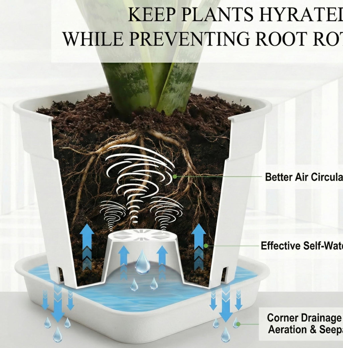 6 Pack 10/8/6 Inch Square Plant Pots with Saucers - 24-Strip Airflow Drainage for Root Health - Heavy Duty 5mm Thick White Plastic Orchid Planters for Indoor Outdoor Flowers, Herbs & Succulents
