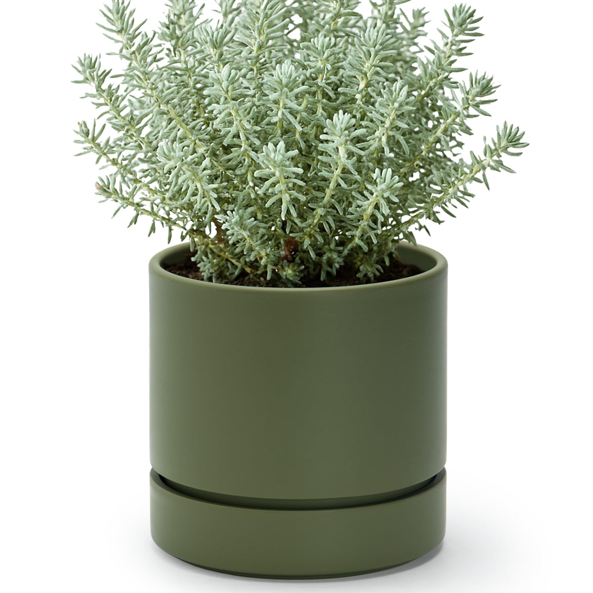 Phoenix Vine 6 Inch Planter Pot with Drainage Hole & Saucer, Deep Water Catch Tray, Straight Cylindrical Round Pot for Plants, Olive, Pack of 1, 23-D-S-1