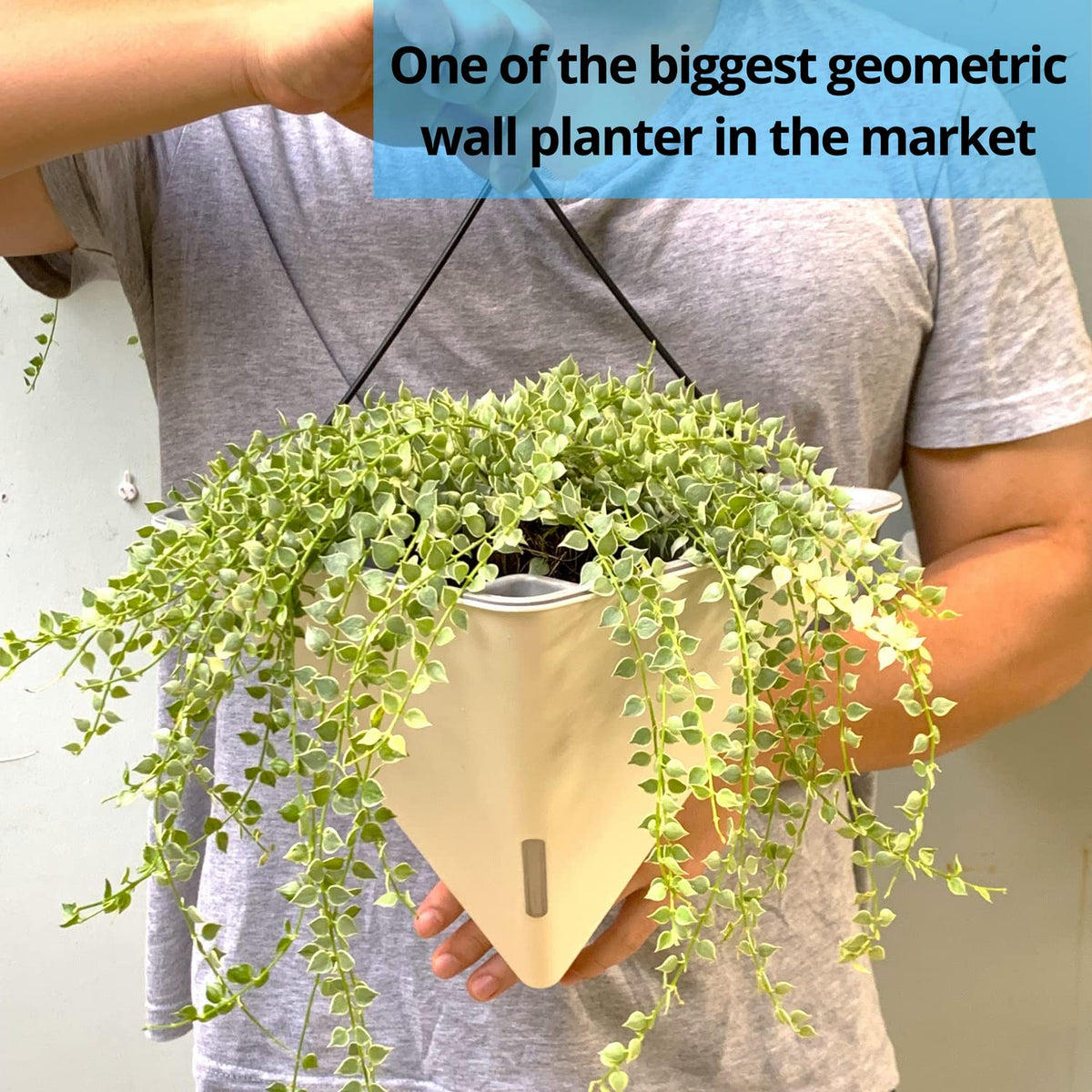 LaLaGreen Bundle - 12" x 2 Pack Black + 12" x 2 Pack White Large Self Watering Geometric Hanging Flower Vase Vessel with Metal Hanger, Modern Stylish Wall Mounted Succulent Pot Holder Decor