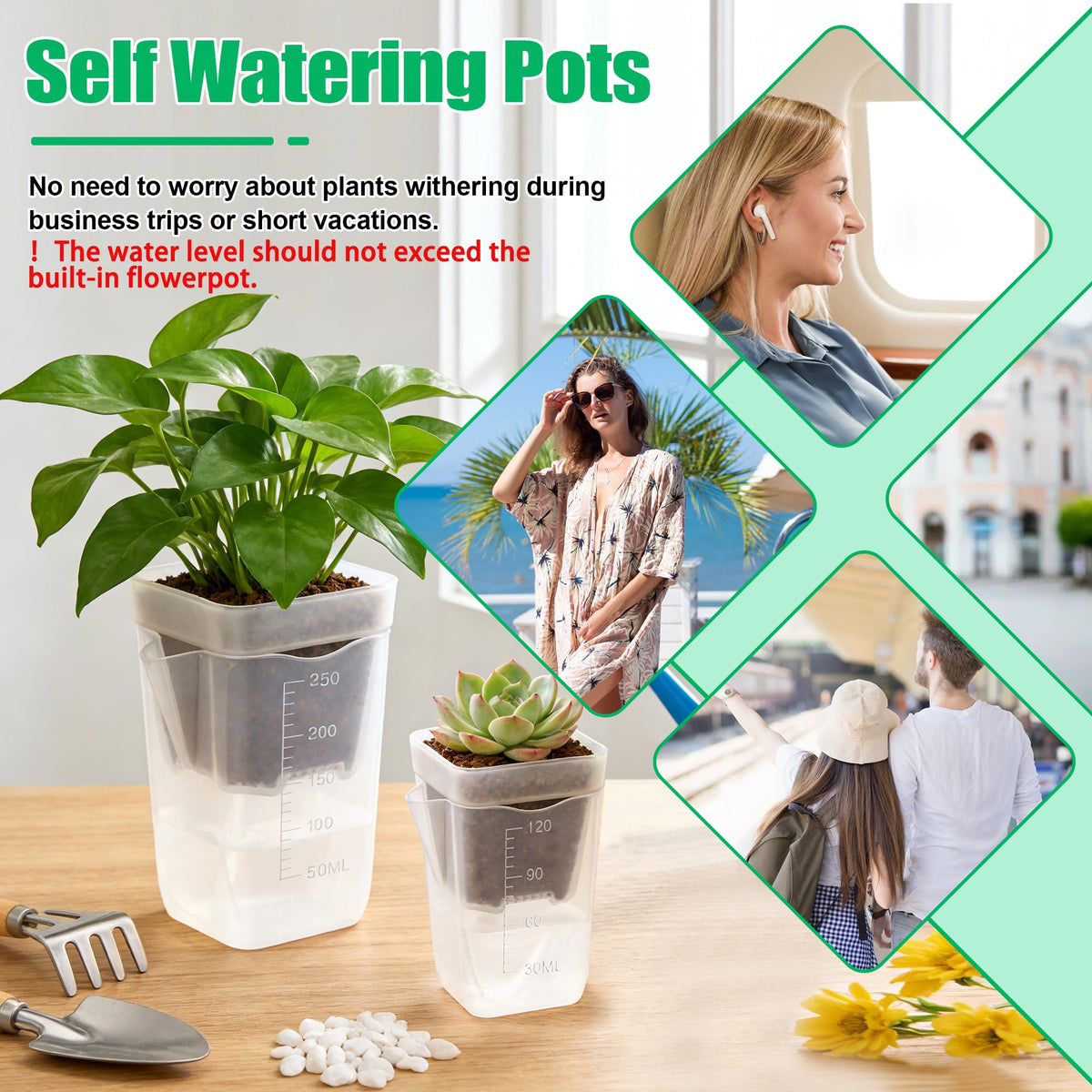 Windspeed 6+6P Mini Clear Self Watering Pots with Indicator 2.5 in 2 in Semi Clear Hydroponic Pots for Indoor Small Plants, Mini Self Watering Planters with Water Level Markings, Drainage Hole