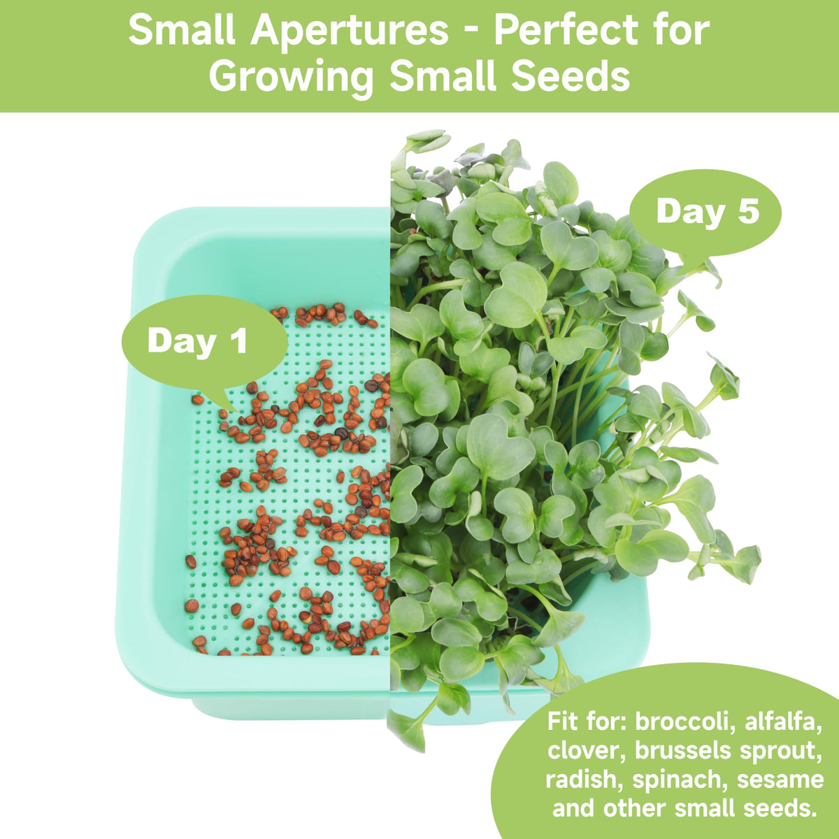 Microgreen Growing Trays, 5" x 5" Sprouting Tray with Humidity Dome, 1.2 mm Small Mesh Holes, BPA Free, Sprouter Kit for Growing Mirco Seeds, Like Broccoli, Alfalfa, Radish, Clover - 4 Pack | Colorful