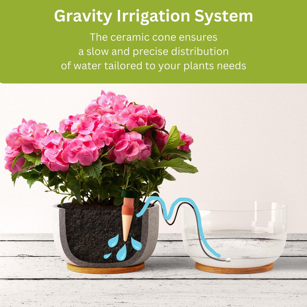 Blumat Classic Self-Watering Stakes - Prevents Overwatering and Underwatering for Healthy Growth While You are Away - Ideal for Indoor Plant Watering, 12 Pack, wo Adapter