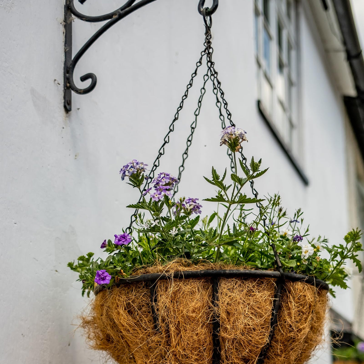 suiwotin 6pcs 16 Inch Hanging Basket Chains 3 Point, Black Chain with Hooks for Hanging Plants, Flower Pot