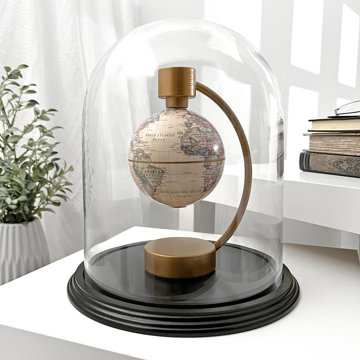 Plymor 8" x 10.25" Glass Display Dome Cloche (Black Wood Veneer Base)