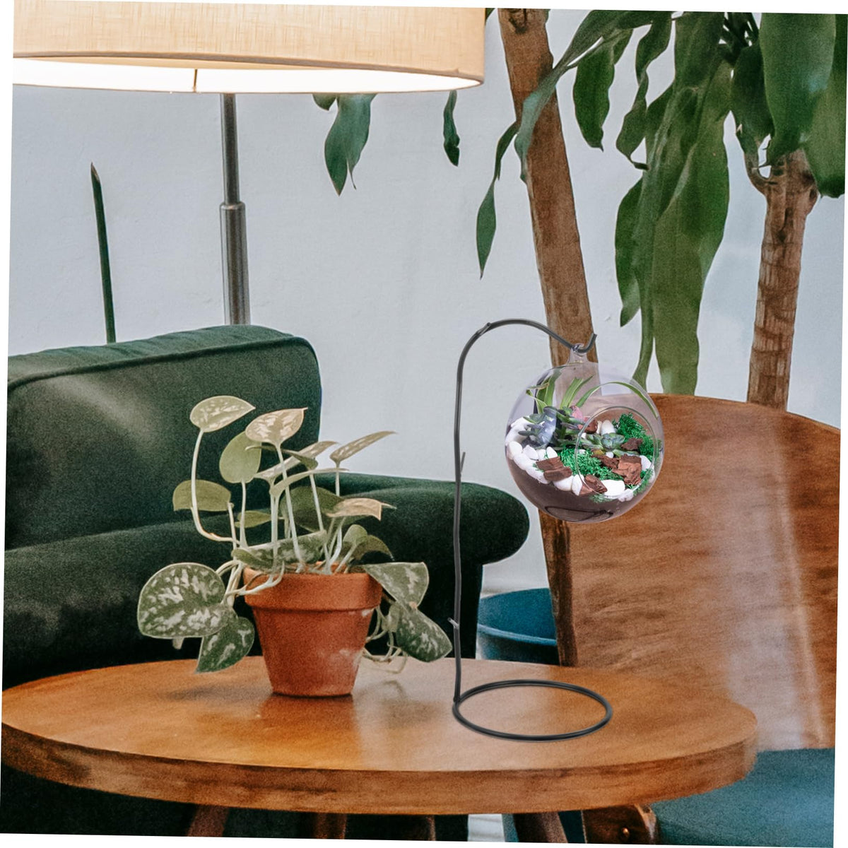 Toyvian Decorative Hanging Rack for Air Plants Black Glass Terrarium Holder with Hook for Home and Office Decor Pothook Stand for Flowers and Succulents Unique Micro Landscape