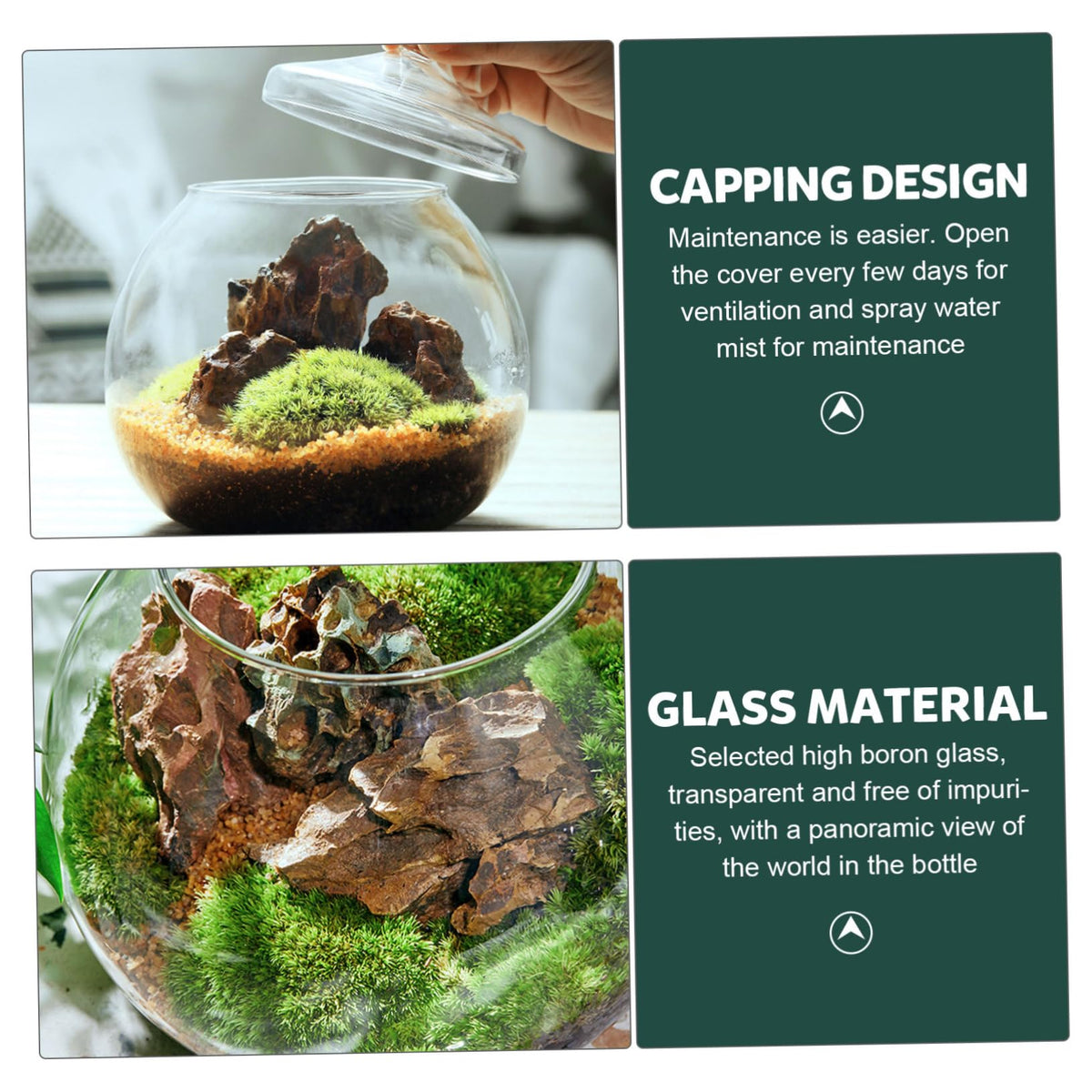 1Set Micro Landscape Bottle for DIY Terrarium Crafts Glass Eco Bottle with Style Lid Indoor Home Decor Creative Plant Display for Moss Miniature