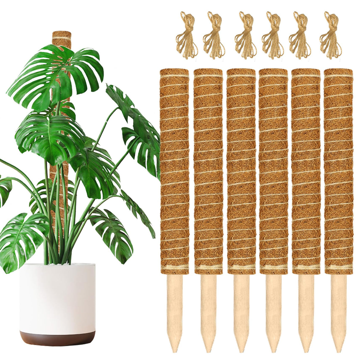JJGoo Moss Pole for Plants Monstera,【6 Pack】 17 inch Plant Support Pole, Extendable Coir Totem Pole for Potted Plants Pothos, Train Indoor Climbing Plants to Grow Upwards