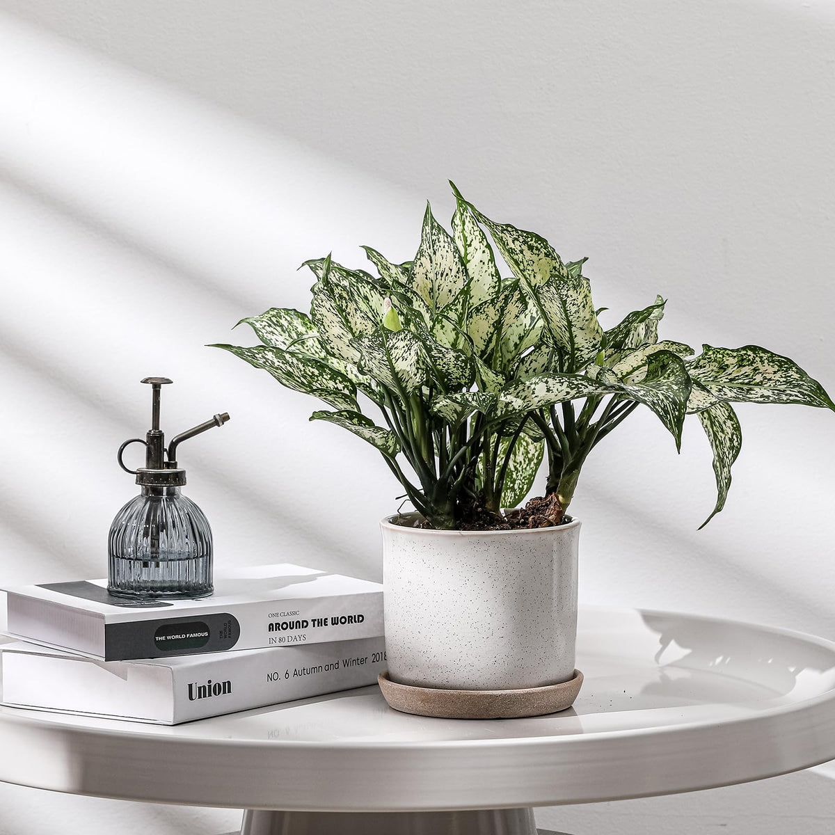 Chubacoo 5.8 Inch Plant Pot: Ceramic Planter with Drainage Hole & Saucer for Indoor Outdoor Plants - Flowerpot with Bonded Tray for Home Office - Retro Style, Grey