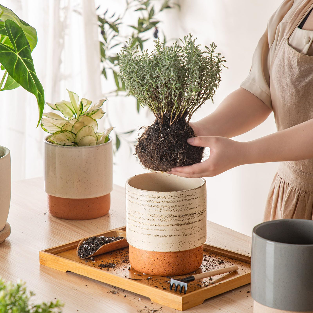 Chubacoo Self Watering Plant Pot: 6 Inch Ceramic Planter with Drainage Hole & Water Storage Plus - Flower Pot for Indoor & Outdoor Plants (Brush, Small)