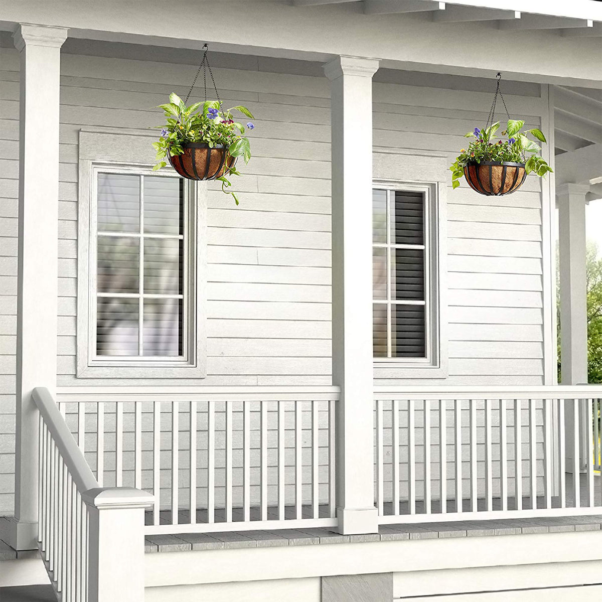 Arcadia Garden Products 1592 Solstice Series Coconut Hanging Basket 16-Inch