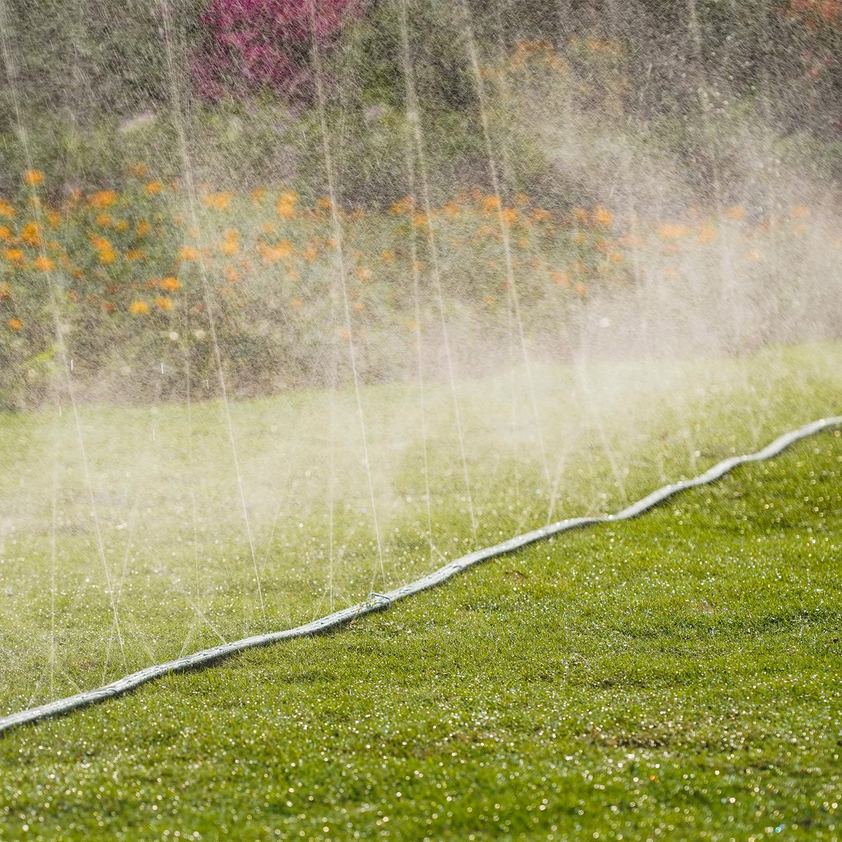 DXront Sprinkler Soaker Hose 75ft for Garden Lawn, Watering Pipe with Holes, High-Efficiency Water-Saving Garden Irrigation System, Drip Hose Sprinkler
