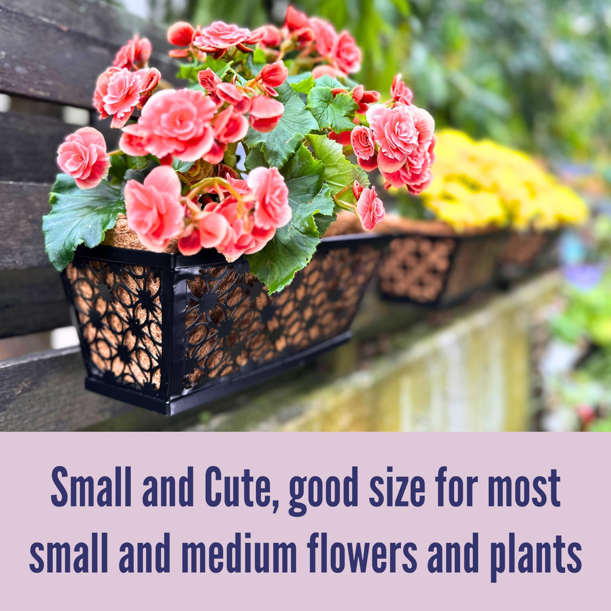 LaLaGreen Window Box Planter for Outdoor Plants (4 Pack, 12 Inch) Black Metal Small and Cute Rectangular Flower Pot Wall Planters with Coco Liner Horse Trough Railing Deck Balcony Fence Patio Decor