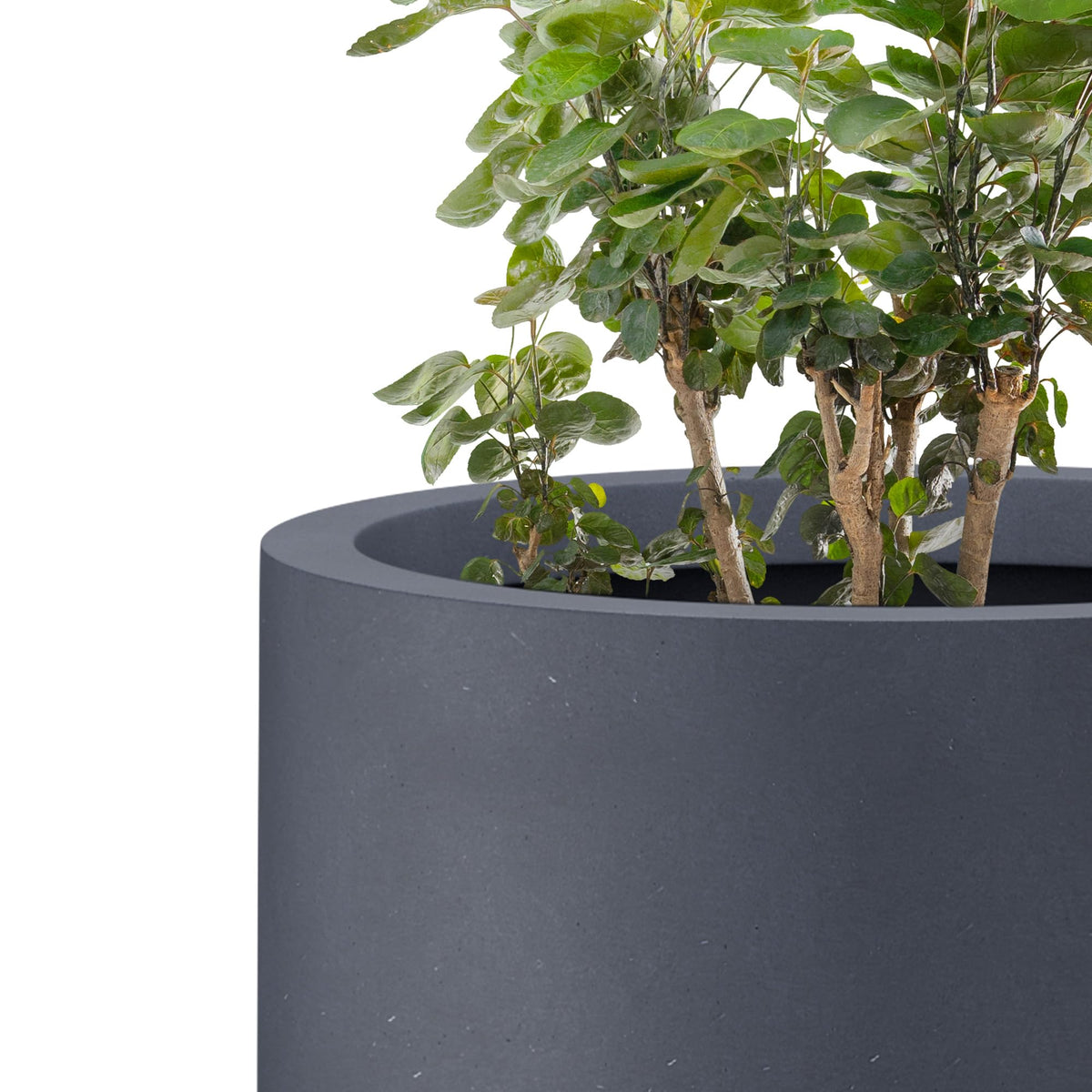 Kante 24 Inch Tall Concrete Planter, Outdoor Indoor Large Plant Pots with Drainage Hole and Rubber Plug for Home Garden Patio Porch Smooth Charcoal