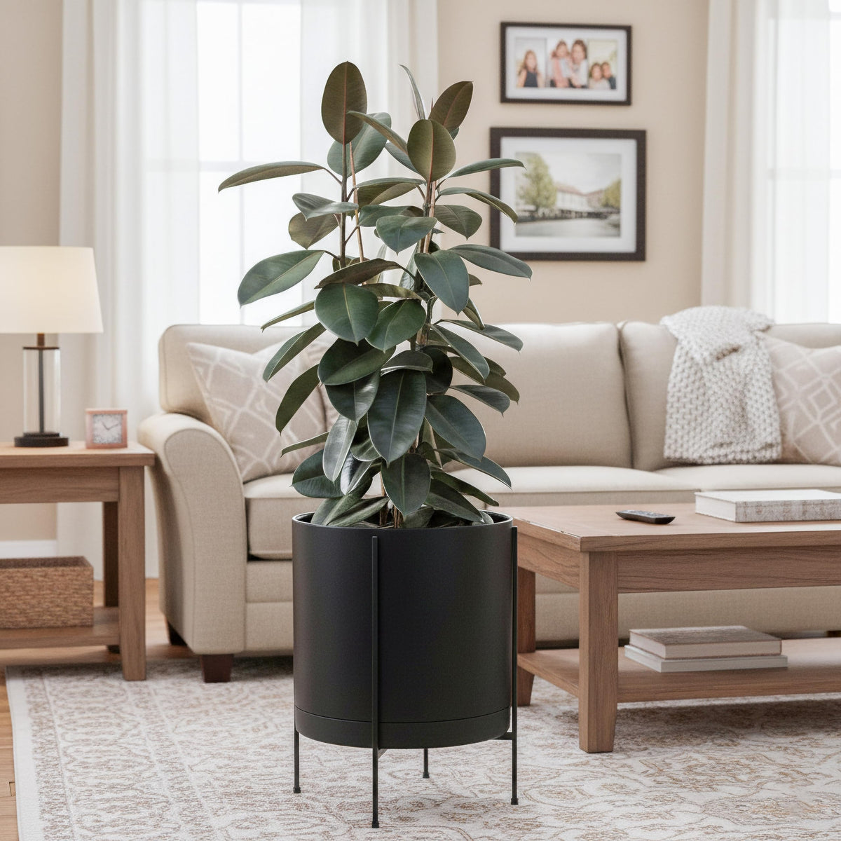 D'vine Dev 16 Inch Black Planter Pot with Stand – Modern Plastic Cylinder Flower Pot with Heavy-Duty Metal Stand for Indoor Plants, 55-D-B-5