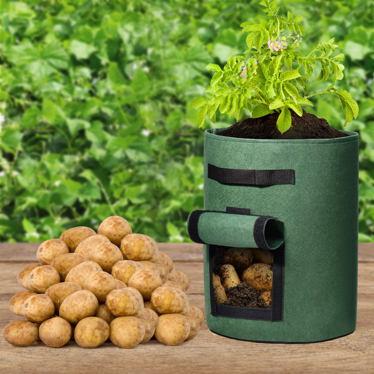 Delxo 5 Pack 10 Gallon Potato Grow Bags, Garden Planting Growing Bag with Flap, Double Layer Breathable Nonwoven Cloth for Potatoes/Planter/Vegetable/Tomato Fabric Pots with Handles Green