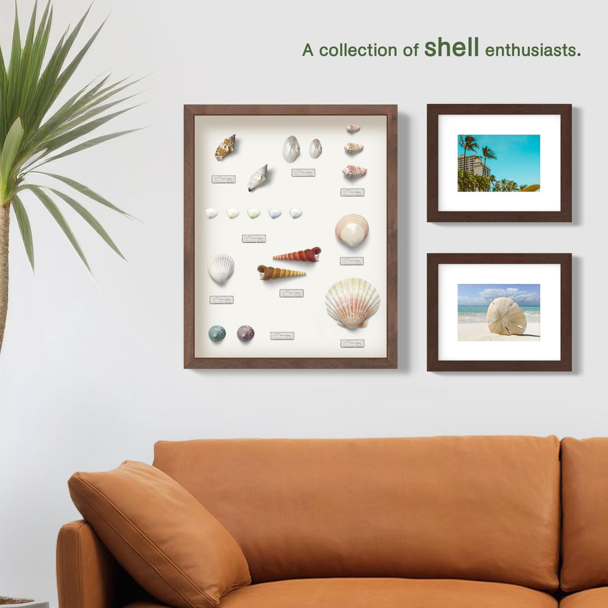 FrameWorks 11x14 Driftwood Wooden Shadow Box Frame – Soft Felt Back, Tempered Glass, and Included Elegant White Ball Push Pins
