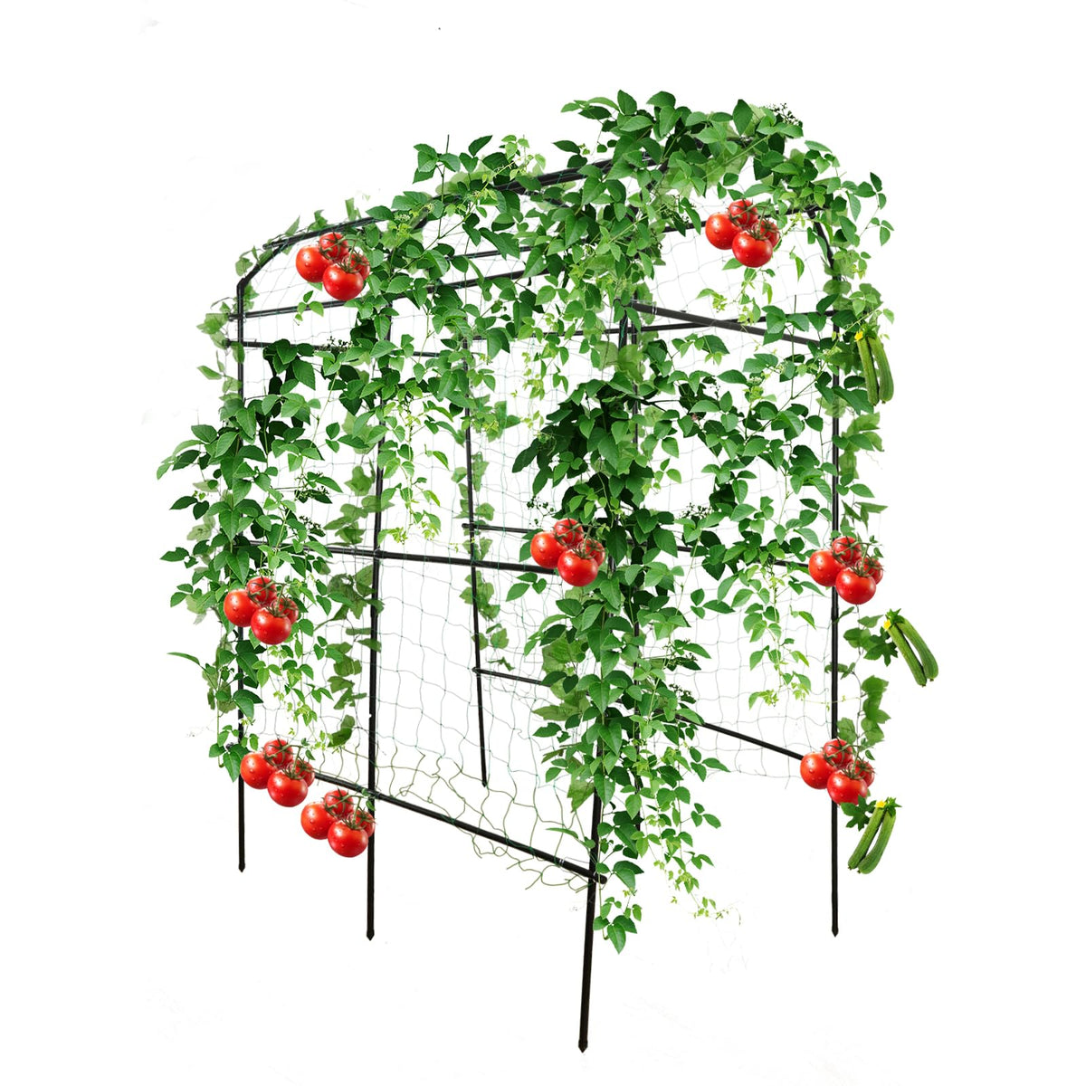 PKBD Tall Garden Arch Trellis for Climbing Plants Outdoor, 7.5 ft Tall Polyethylene-Coated Stainless Steel Garden Arch for Climbing Vine Vegetable/Fruit/Flower, Cucumber Trellis for Raised Bed, Black
