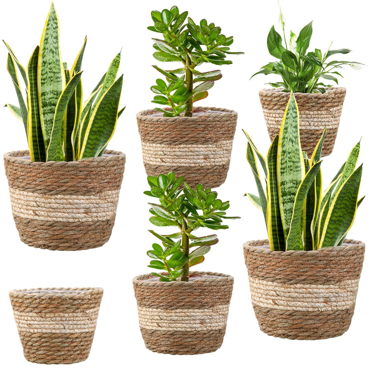 Mumufy 6 Pcs Seagrass Planter Basket Flower Pots Cover Plant Baskets Hand Woven Plant Basket Storage Containers with Plastic Liners for Indoor Outdoor Flower Pots Decoration 10, 7, 8.3 Inch(Novel)
