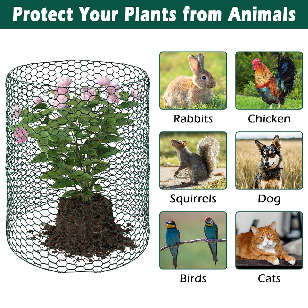 Patioer 16IN x 50Ft Plant Protectors from Animals, Wire Plant Cages for Outdoor, Chicken Wire Mesh Cloche with Plier Ground Stakes Gloves & Nylon Ties