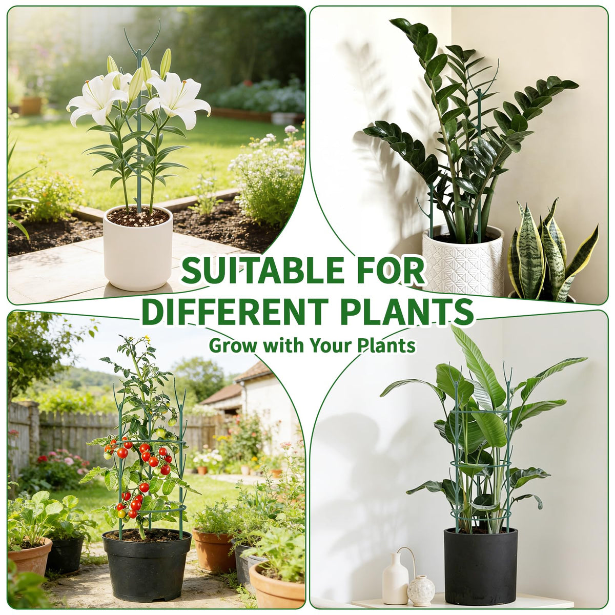 SHAOKAOLU 30Pcs Plant Stakes for Indoor Plants, Stackable Monstera Stake with Stem Supports & Garden Wire for Monstera, Pothos, Money Plant, Outdoor Plants