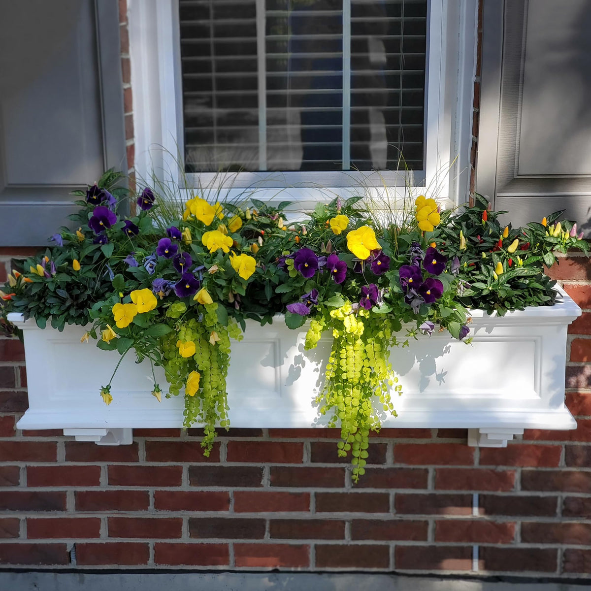 Step2 Atherton 24" x 39" x 19.5" Self-Watering Planter Box Bundle with Mayne Fairfield 4ft Window Box