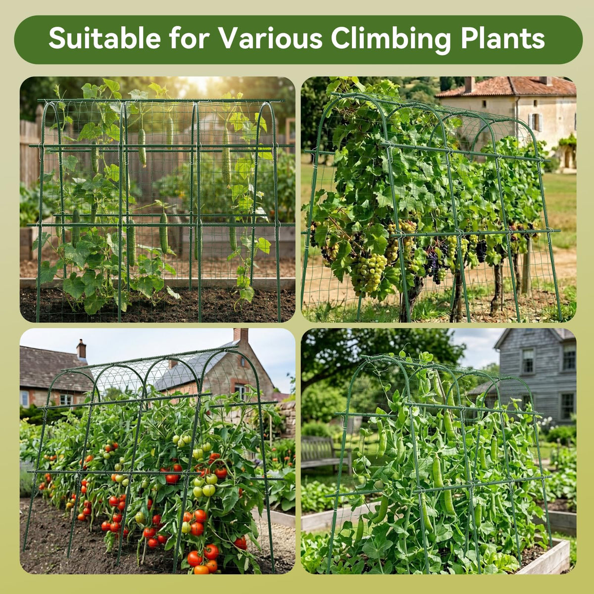 65"×48" Cucumber Trellis for Raised Bed, U-Shape Garden Trellis for Climbing Plants Outdoor, Metal Arch Vegetables Trellis, Detachable Cucumber Plant Support for Tomato,Squash
