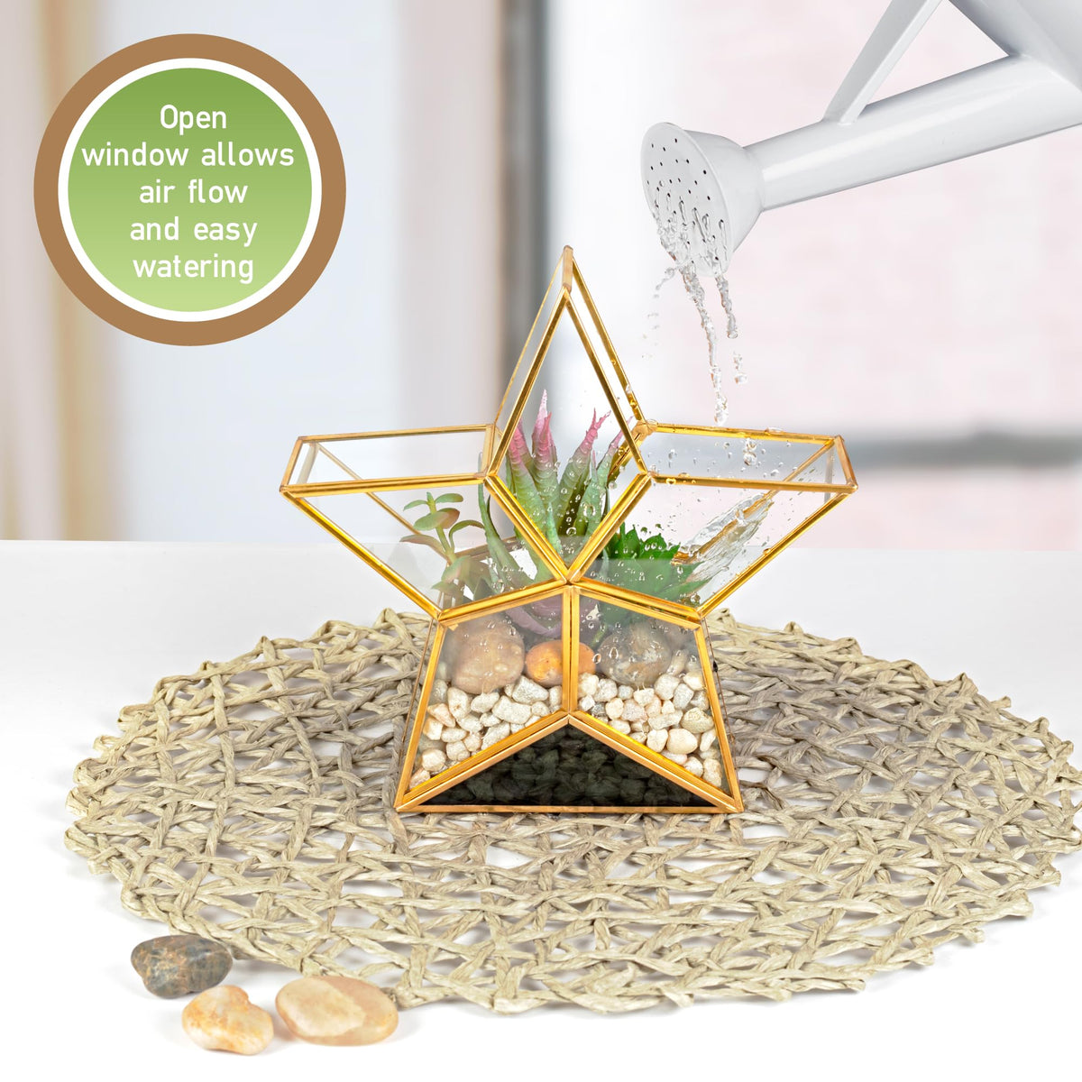 Gold Star Glass Centerpiece Display (3x8x8) - Tabletop Planter Terrarium - Spring Home & Wedding Decor - Fill with Succulents, Cacti, Air Plants, Moss, Flowers for Plant Lovers