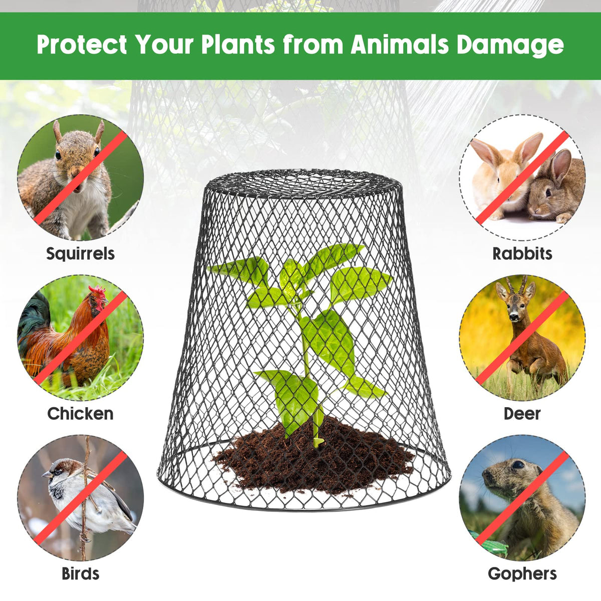 Geosar 20 Pcs 9 Inch Chicken Wire Cloche Plant Protector Cover Metal Garden Cloche Netting Protection Cages Vegetables Flowers with Garden Stakes Avoiding Chicken Rabbit Squirrels Birds (Black)