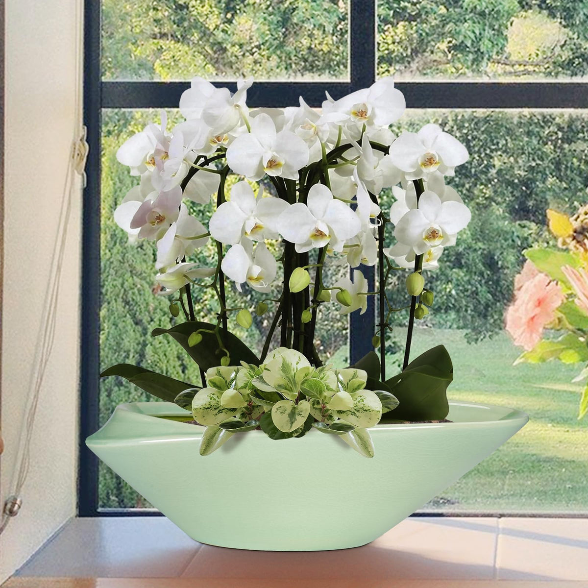 EPFamily Ceramic Bonsai Pot - 18 Inch Planter with Drainage Hole Large Modern Bonsai Planter Decorative Succulent Flower Plant Pot for Indoor Plants Outdoor Green