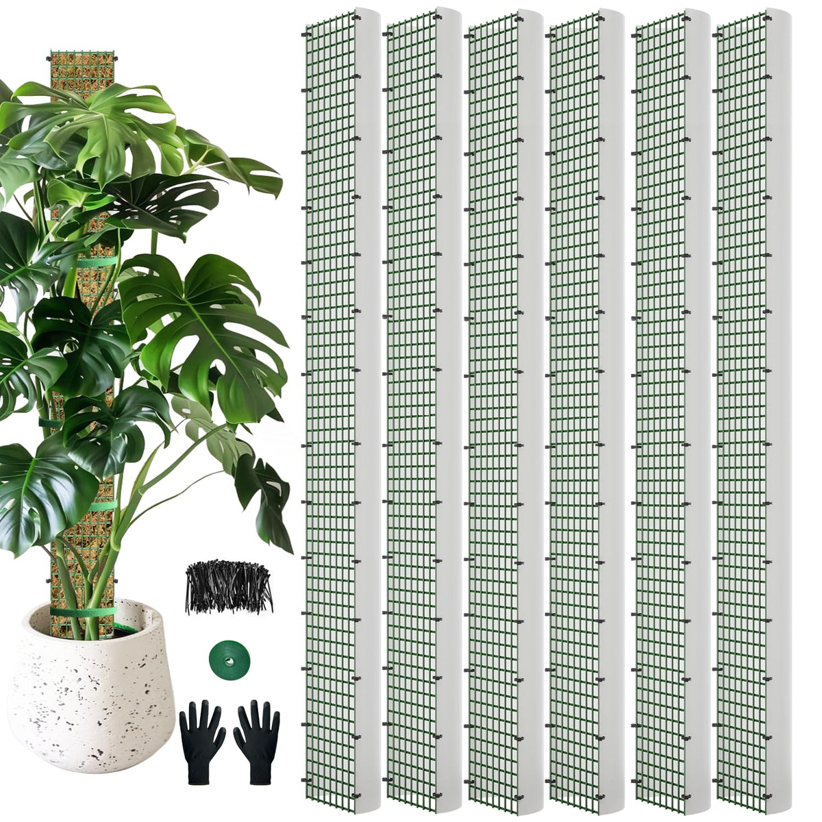 60" Metal Moss Pole, D Shape Sphagnum Moss Pole, Moss Poles for Climbing Plants, Monstera, Indoor Climbing Plants (6Pcs 60")