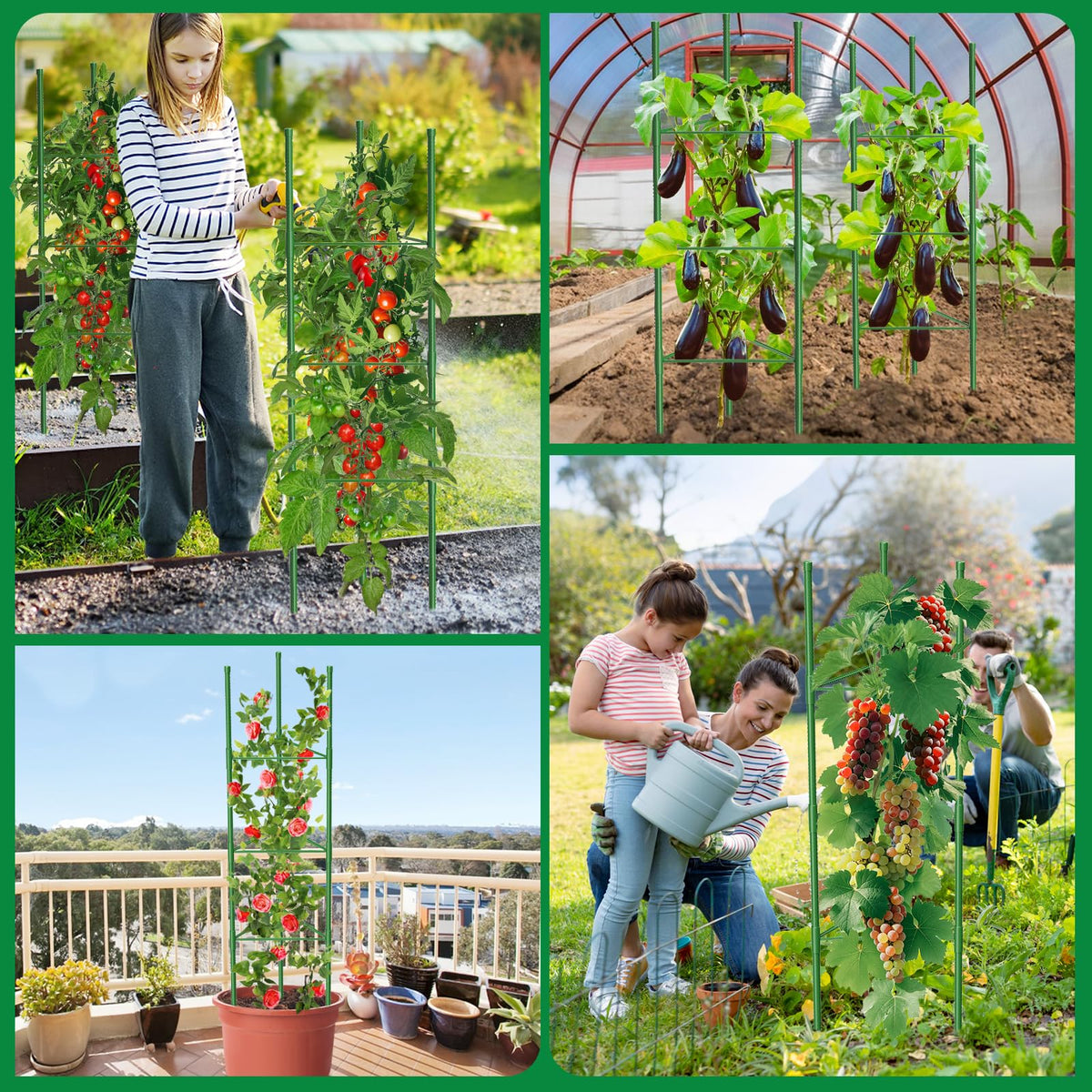 3 Pack Tomato Cages, 51.2in Tomato Plant Support Stakes Heavy-Duty, Garden Tomato Cages & Trellis for Climbing Vegetables, Tomatoes, Peppers, and Potted Plants(3)