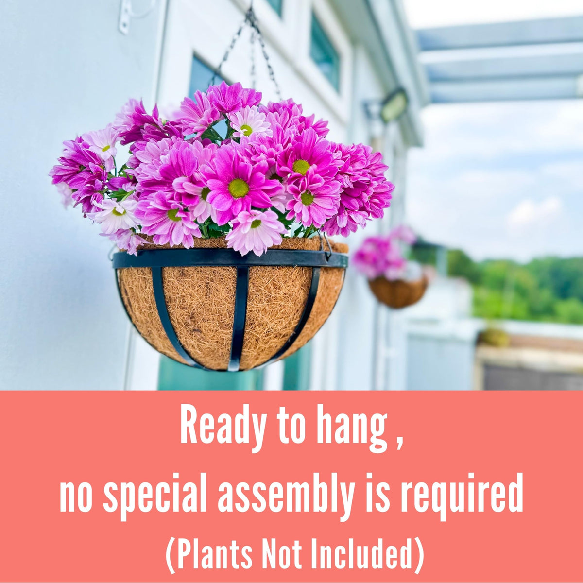 LaLaGreen Outdoor Hanging Baskets for Plants (12 Inch, 2 Pack) Medium Black Hanging Planters with Coco Liner, Metal Flat Iron Flower Pots for Deck Patio Porch Modern Garden Balcony Outside Decoration
