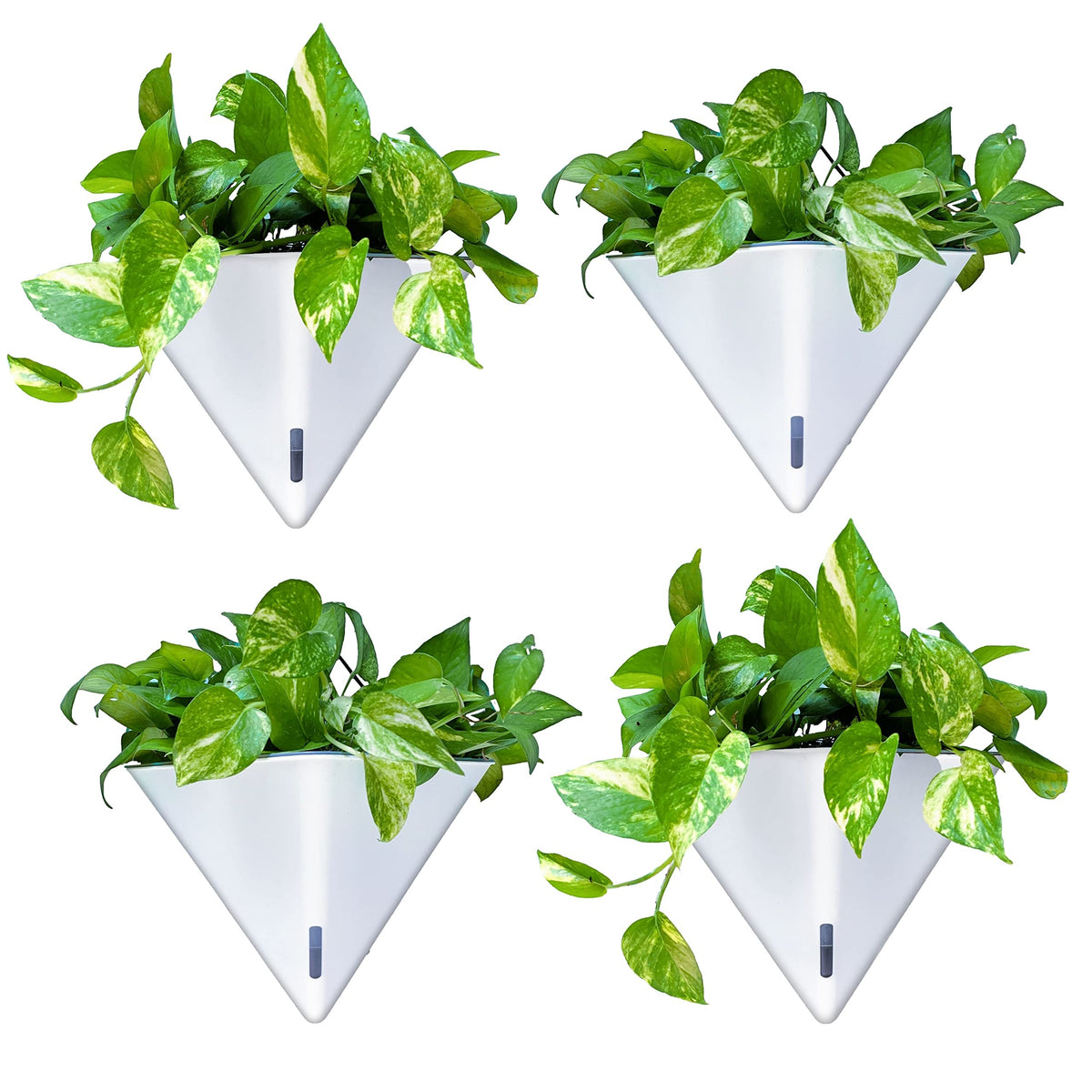 LaLaGreen Bundle - 12" x 4 Pack Gray + 12" x 4 Pack White Large Self Watering Geometric Hanging Flower Vase Vessel with Metal Hanger, Modern Stylish Wall Mounted Succulent Pot Holder Decor