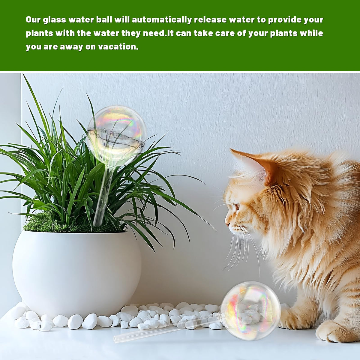 2 Pack Iridescent Glass Plant Watering Globe,Automatic Self-Watering Bulbs for Indoor Outdoor Plants-Hand-Blown Glass Watering Stakes for Home Garden Decor-Ideal Gift for Plant Lovers,Flowers,Pots