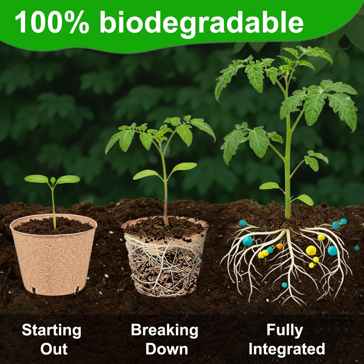 JNYONG 60 Packs 4 Inch Peat Pots,Biodegradable Pots for Seedlings with Drainage Holes, Garden Germination Nursery Pots with 50Pcs Plant Labels
