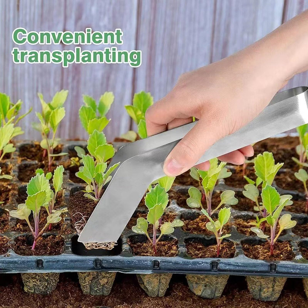 Locadence 2Pcs Seedling Transplant Tongs, Stainless Steel Gardening Plants Transplant Tong Plant, Seedling Transplanting Tool, Remove Transplant Plier for Reducing Root Damage