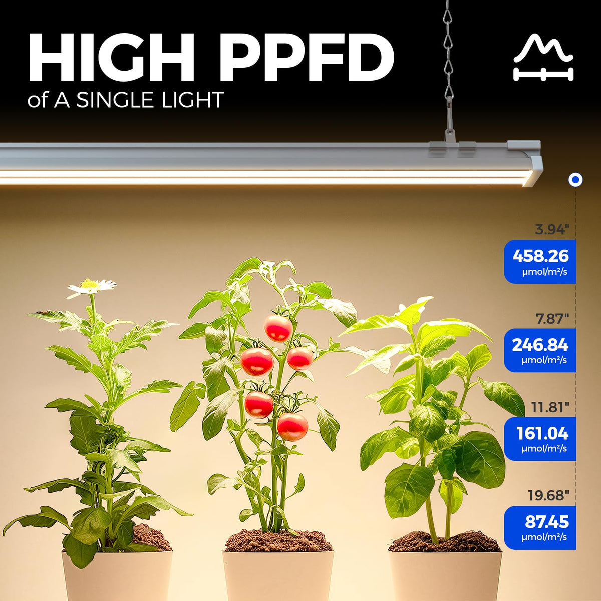 Barrina TX60 Grow Light for Indoor Plants, 240W, Full Spectrum, 4FT, 4 Packs, 3000K+6500K+660nm, with Timer