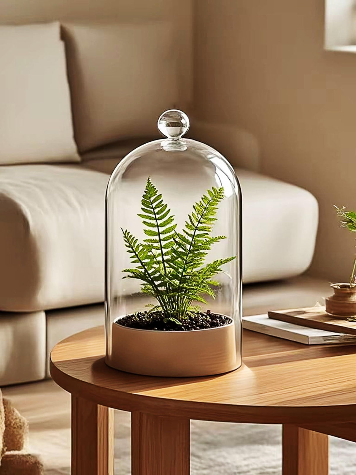 Handmade Glass Cloche, Thick & Sturdy, Dia 6"xH 12", For Terrarium, Plants, Trinkets, Cakes, Figurines, LED Light String, Candle. Cloche Glass Dome, Bell Jar Display Case (1, 6"x12")