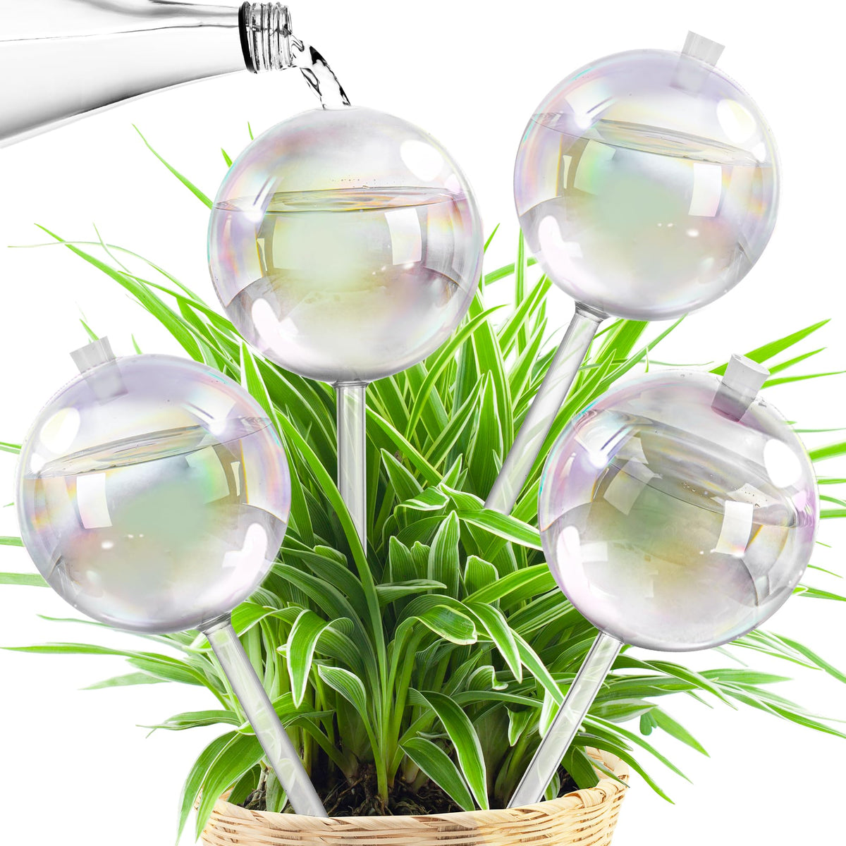 17 oz Up 2 Weeks Extra Large Plant Watering Globes, Self Watering Planter Insert, Iridescent Glass Self Watering Globes, Vacation Plant Watering Devices, Automatic Watering Bulbs (Large 4-Pack)